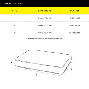 Paintflower Pet Napper - Moss