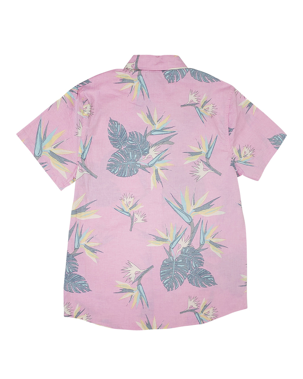 Men's Birds of Paradise Button Down Shirt - Pink