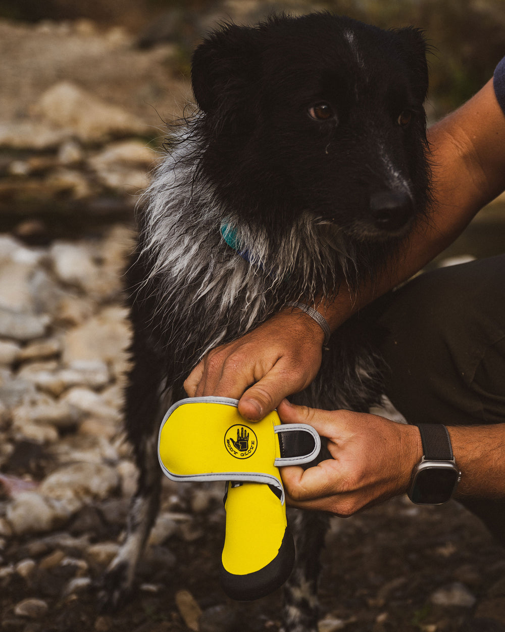 Paw Protector Booties - Yellow