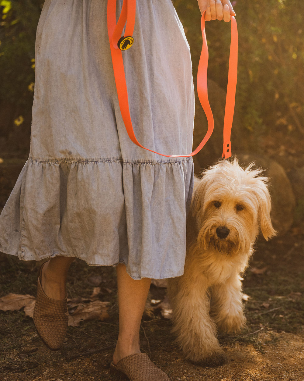 Waterproof Leash - Sunset