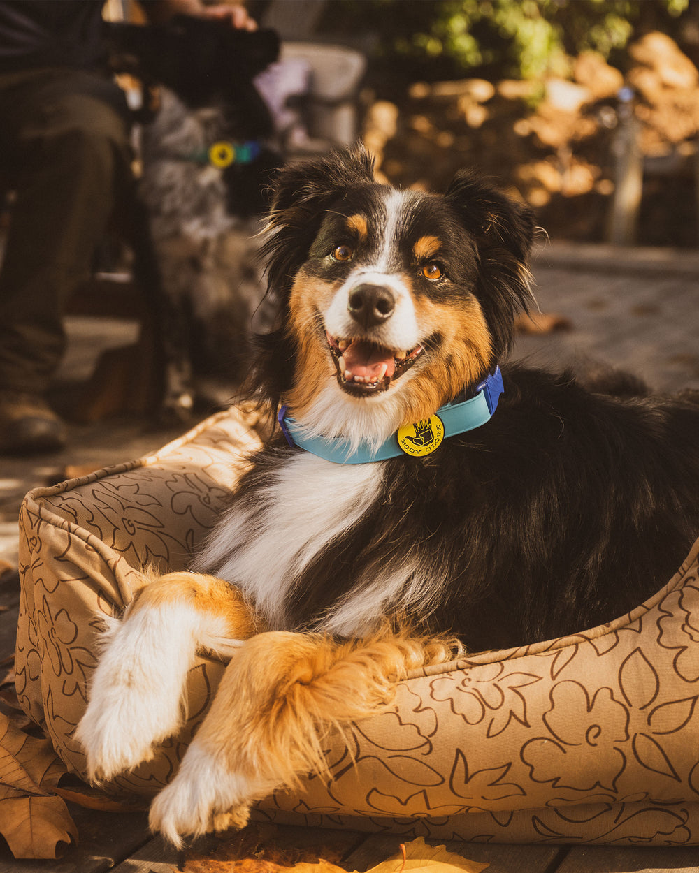 Paintflower Kuddler Pet Bed - Earth