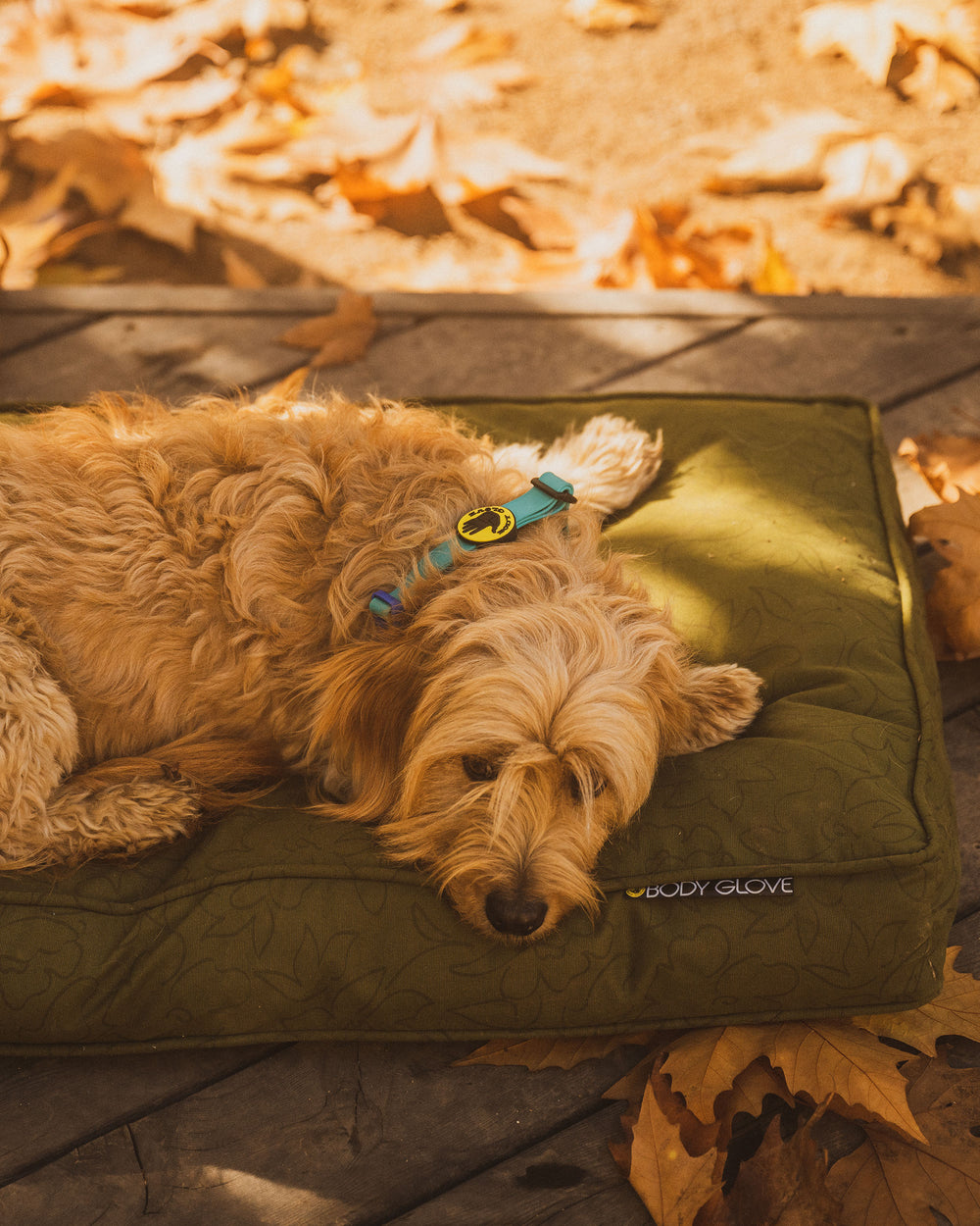 Paintflower Pet Napper - Moss