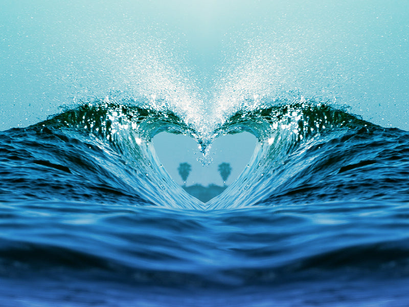 Valentine's Day Gift Guide