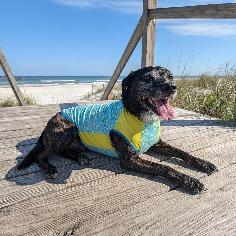  Blue - Primary view 1