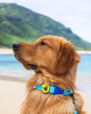 Image of Waterproof Leash - Teal