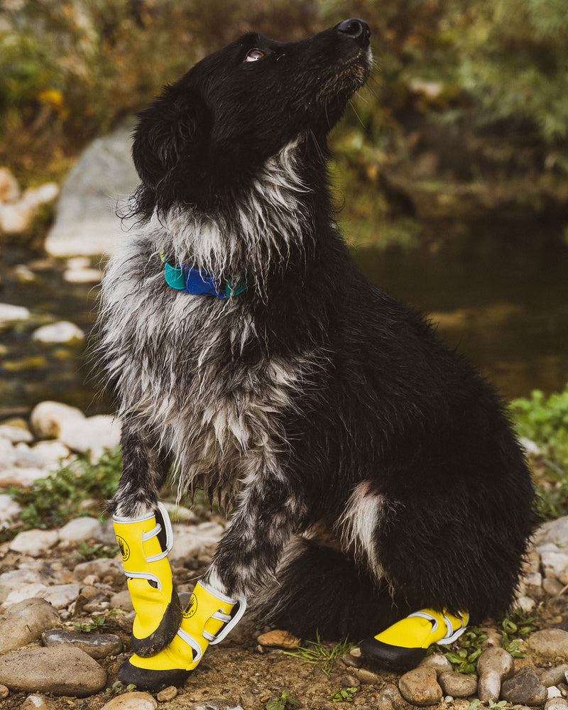 Paw Protector Booties - Yellow