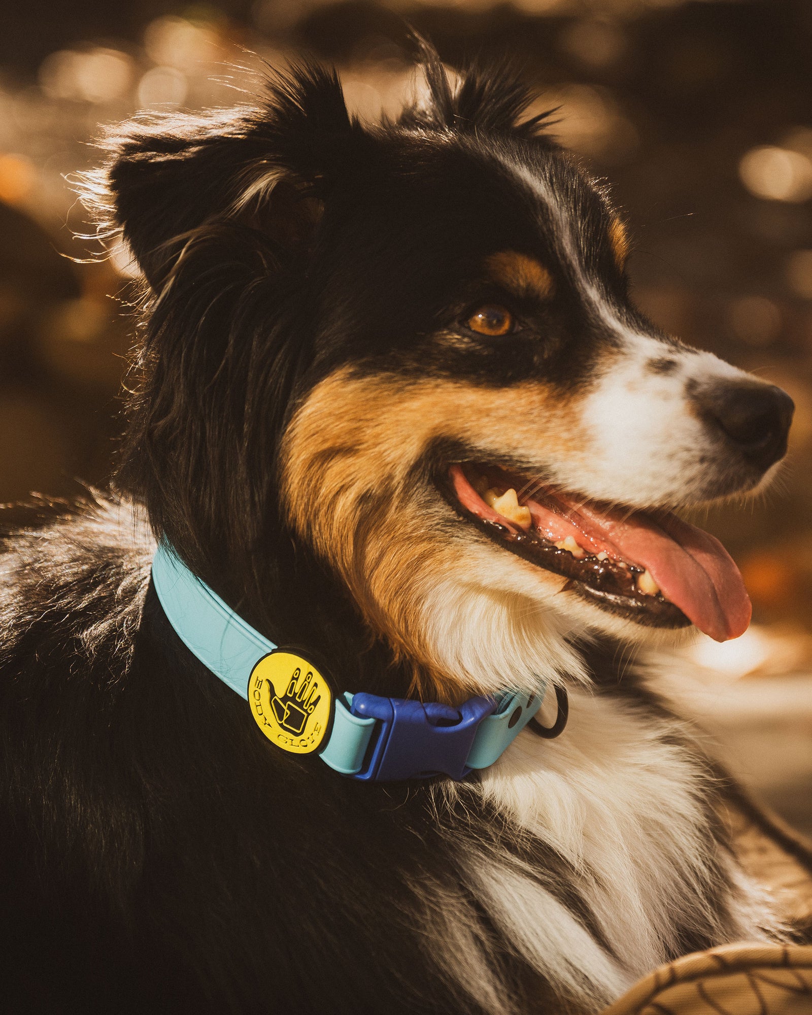 Waterproof Collar - Sea Mist