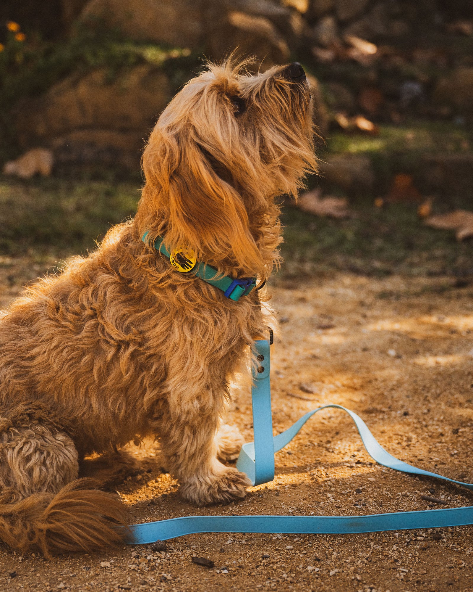 Waterproof Leash - Sea Mist