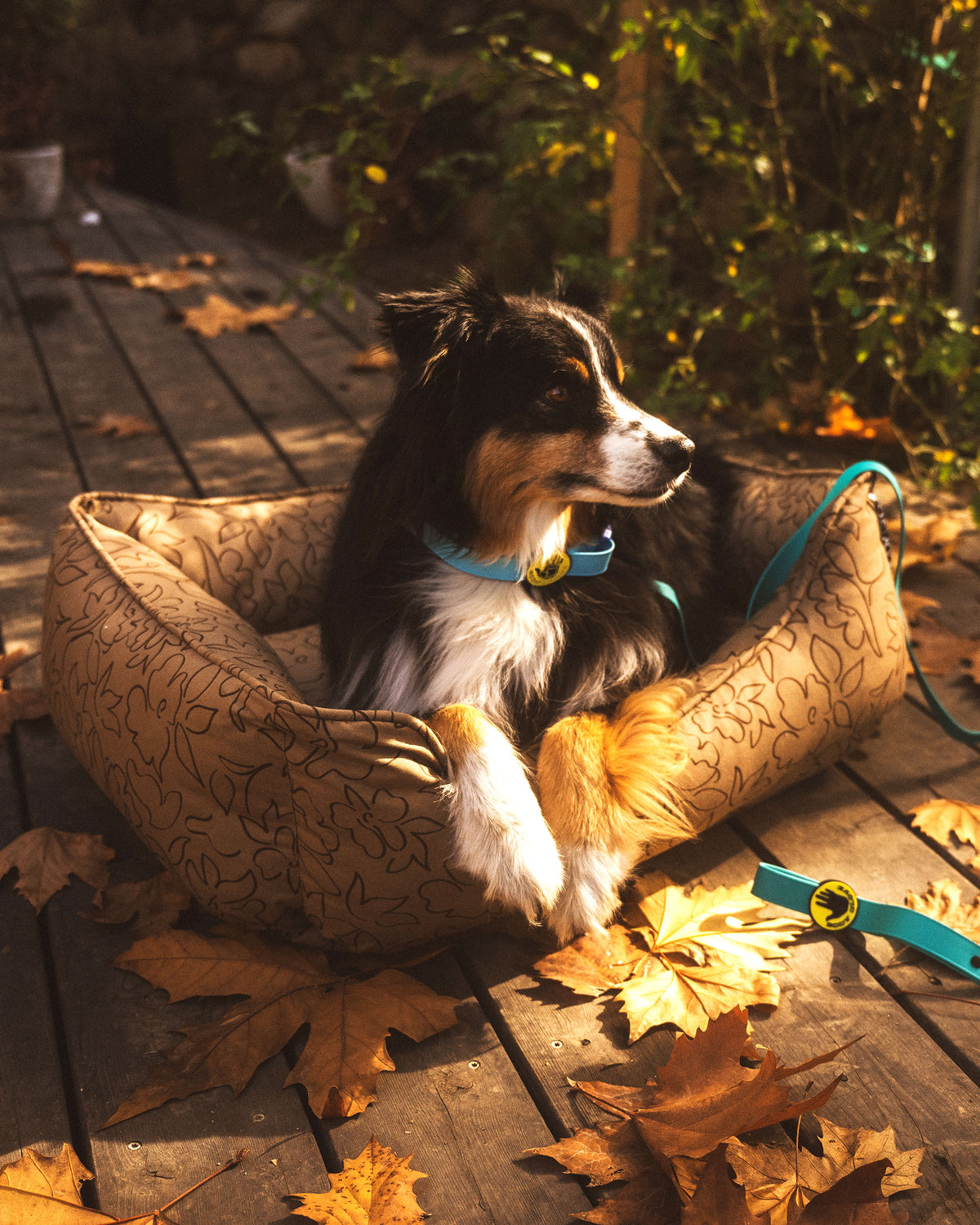 Paintflower Kuddler Pet Bed - Earth