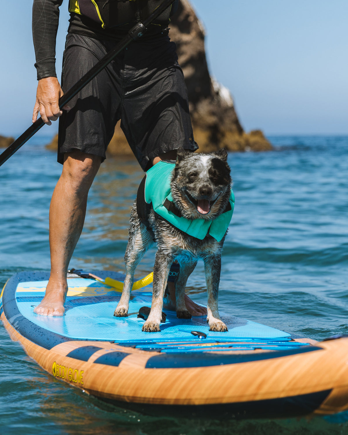 Neoprene Pet Life Jacket - Teal