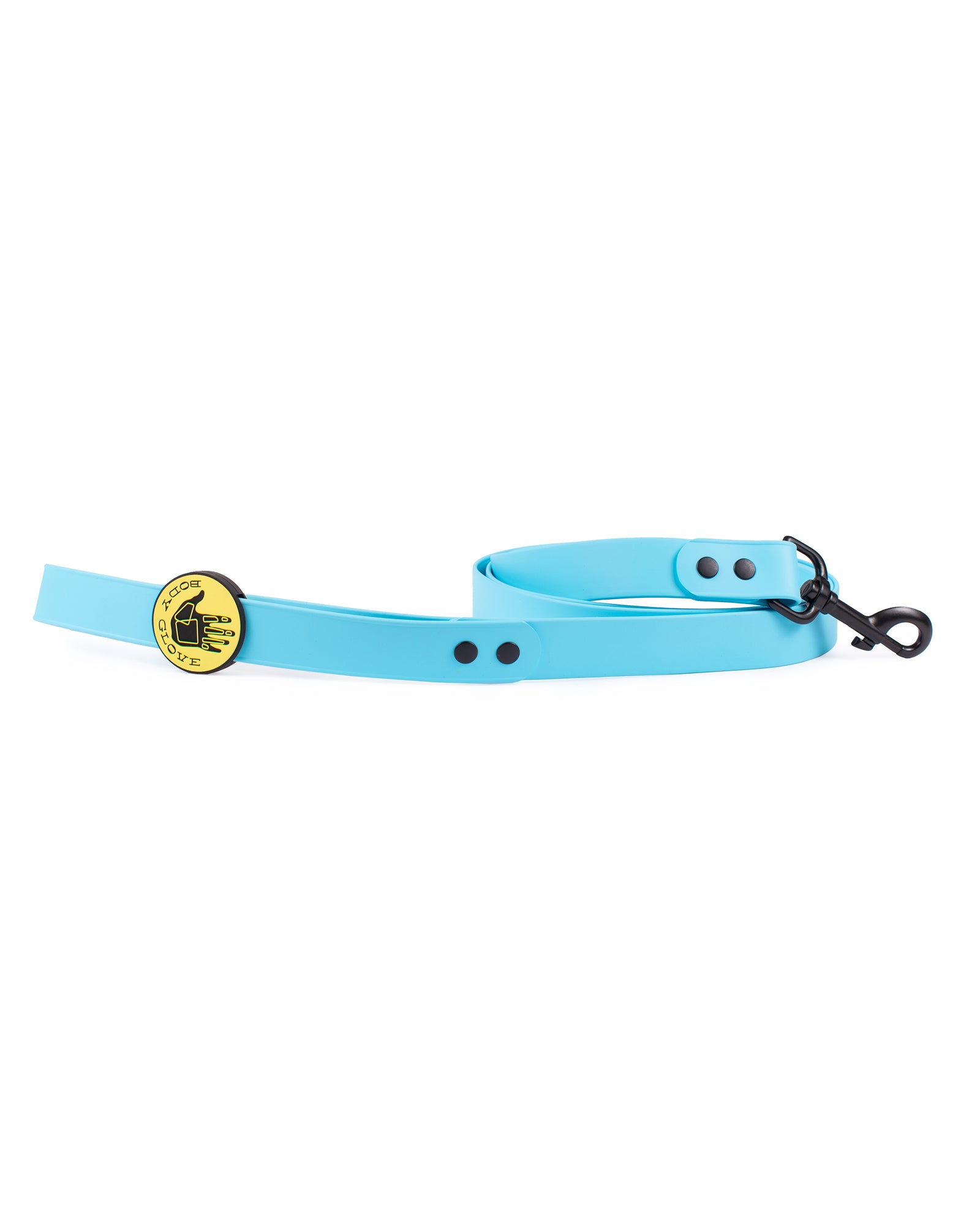 Waterproof Leash - Sea Mist